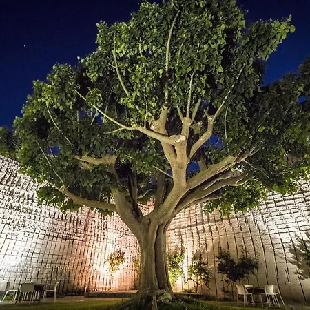 Delle Cave Favignana