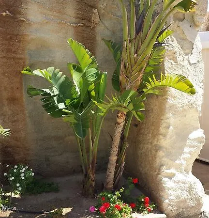 Delle Cave Favignana